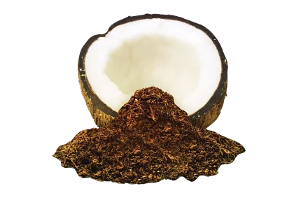 Coconut Coir and Shell Coconut shell with coconut coir