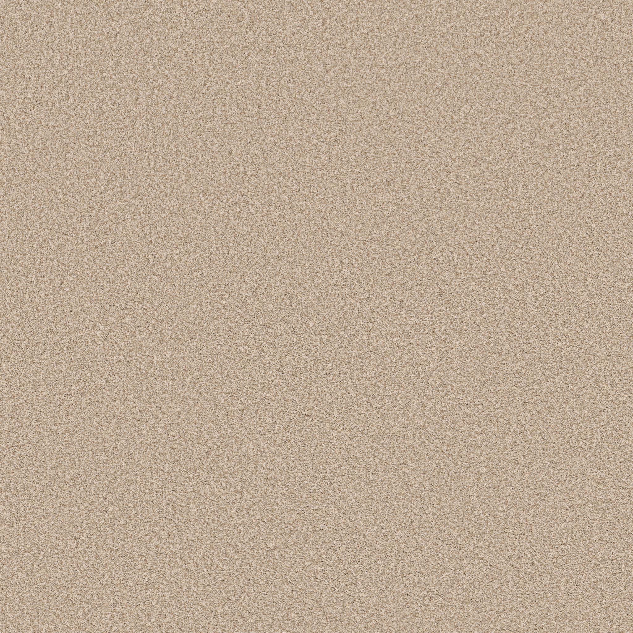 AVALON BAY DOWN HOME MAIN