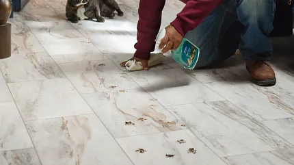 Stone Look Luxury Vinyl Tile Flooring in Modern Foyer Scene Man cleaning luxury vinyl tile flooring with a dog sitting nearby in a stylish, modern home. The room features dark blue walls, wooden furniture, and an open door leading to a staircase