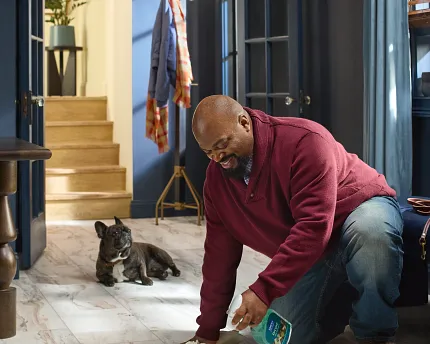 Stone Look Luxury Vinyl Tile Flooring in Modern Foyer Scene Man cleaning luxury vinyl tile flooring with a dog sitting nearby in a stylish, modern home. The room features dark blue walls, wooden furniture, and an open door leading to a staircase