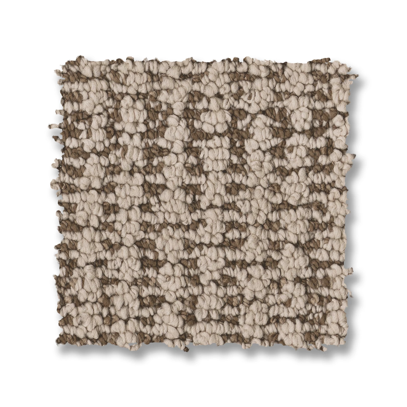 LAINE BEACH HOUSE SWATCH