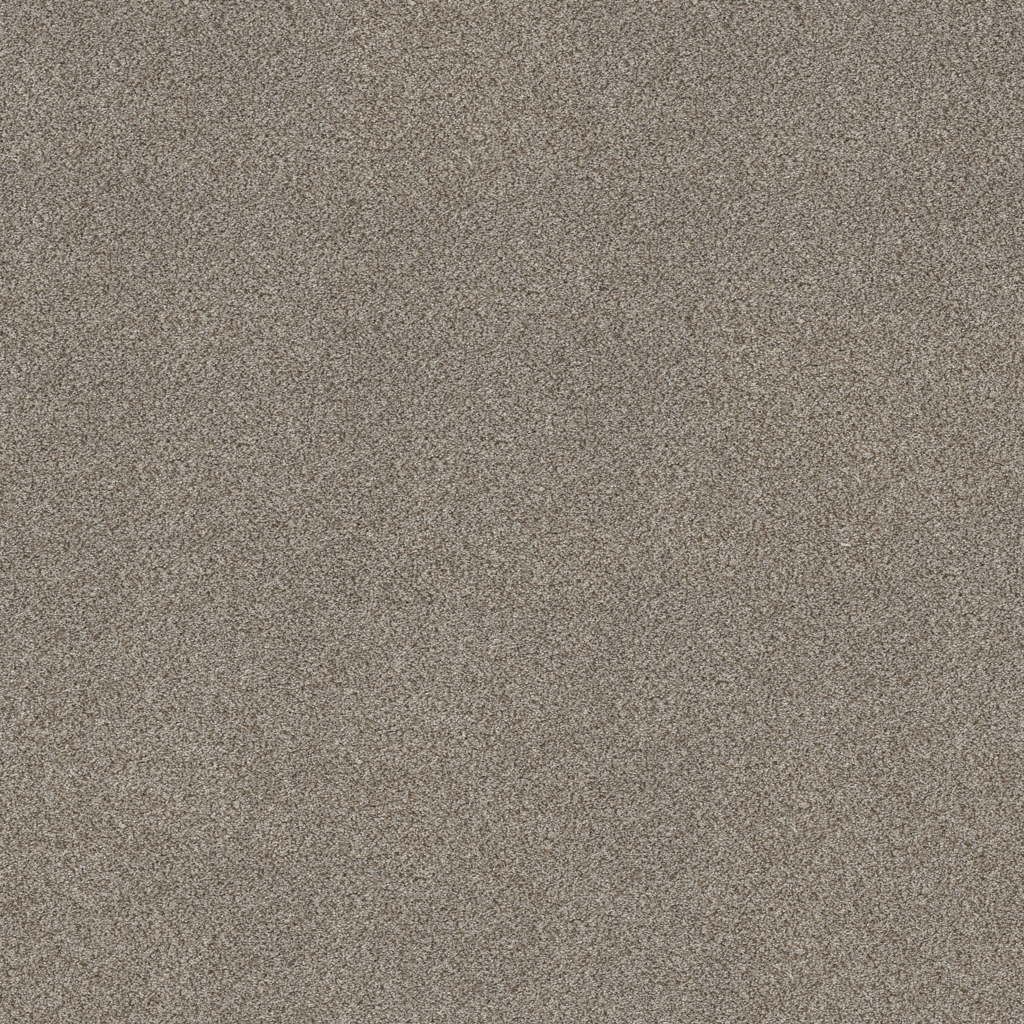 TruSpirit I TIMELESS TAN MAIN