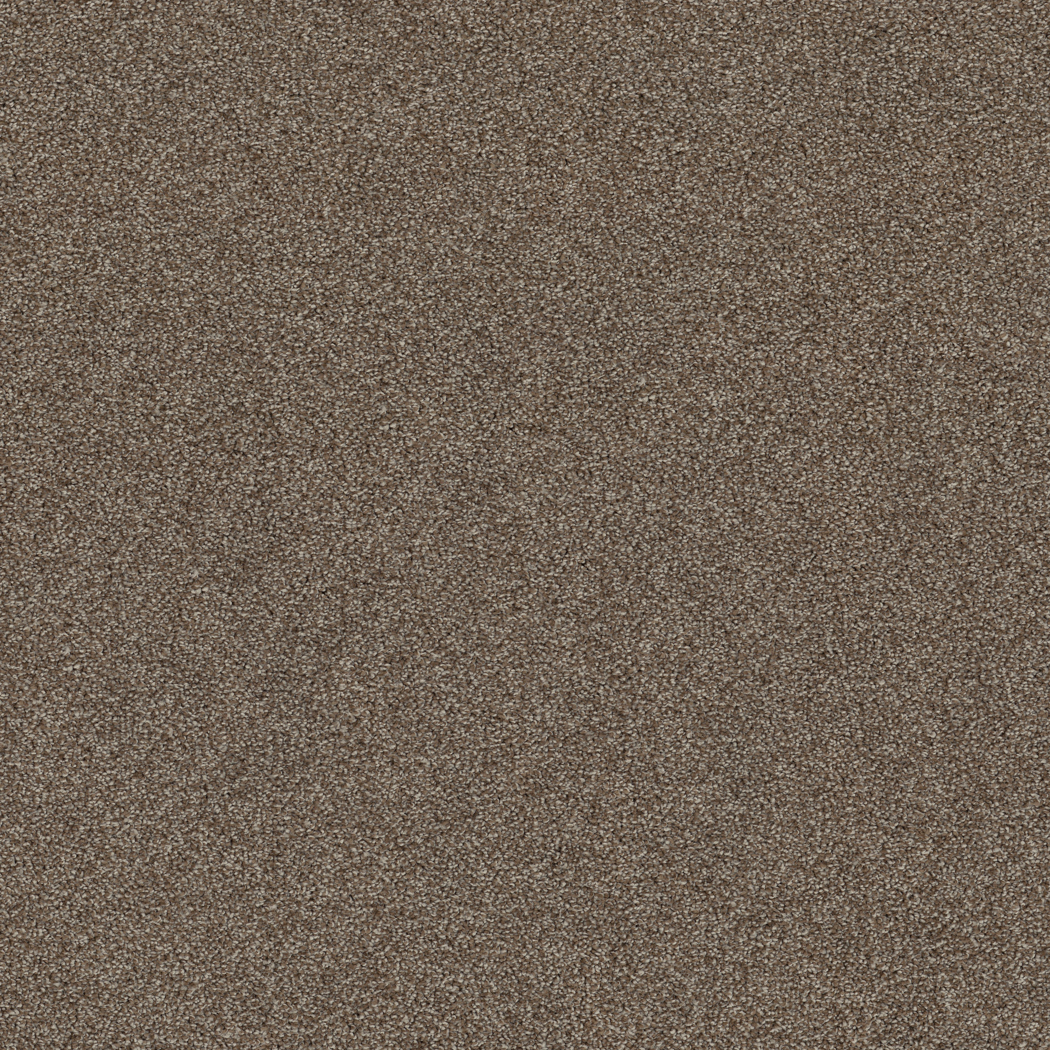 AFFIRMATION I SPANISH BROWN MAIN