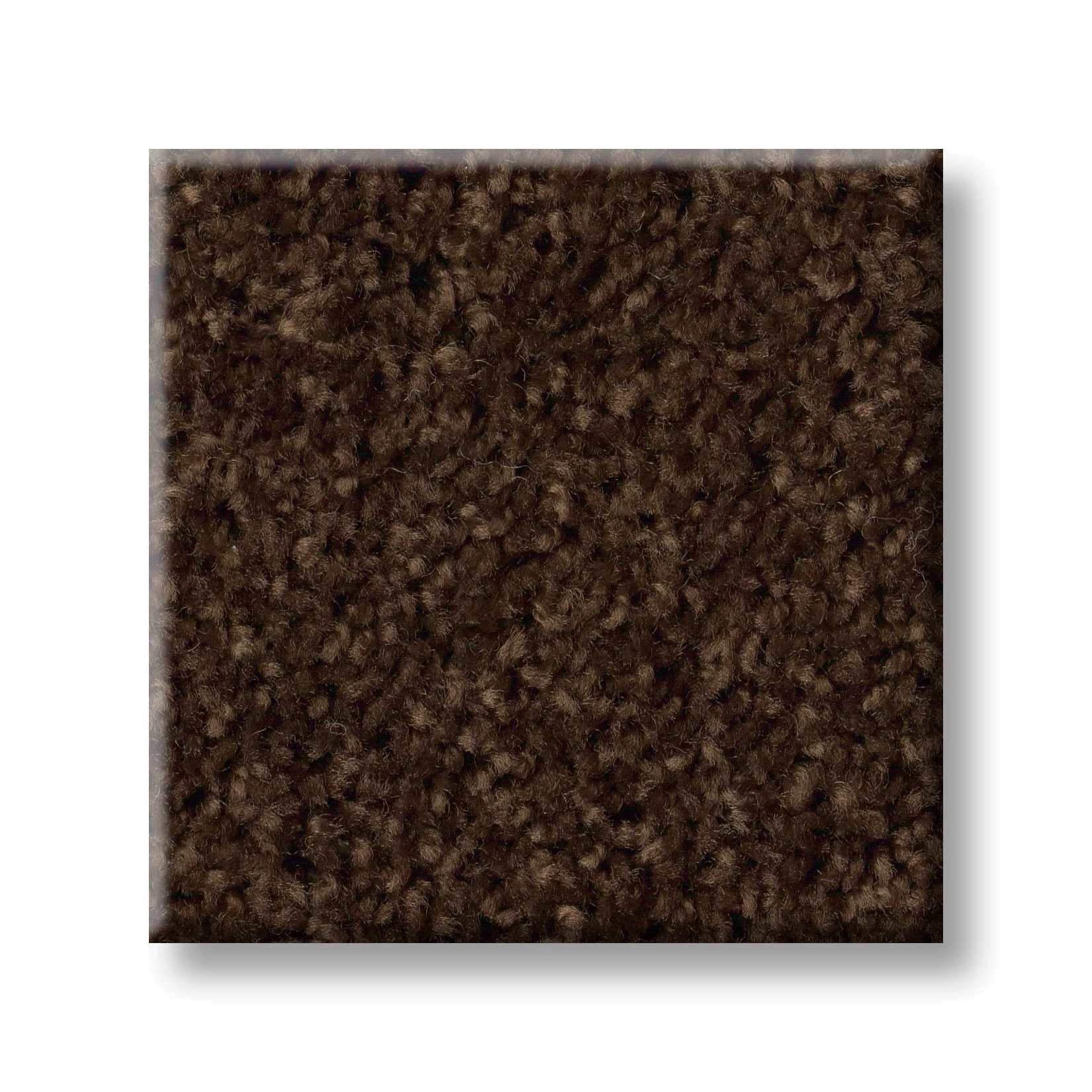 BREAK AWAY - SOLID COFFEE BEAN SWATCH