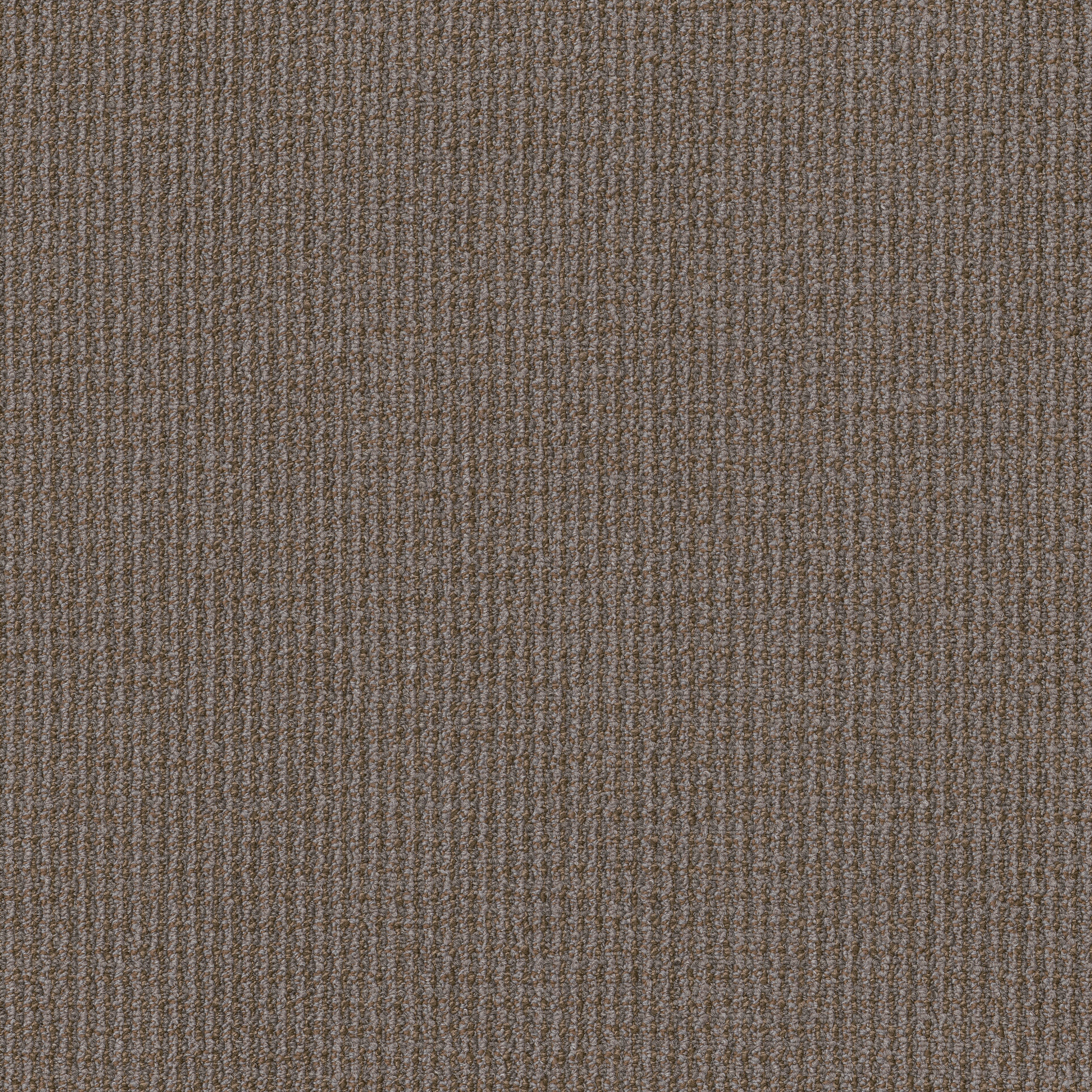 FREE-PRESS-54985-MEDIA-00206-main-image