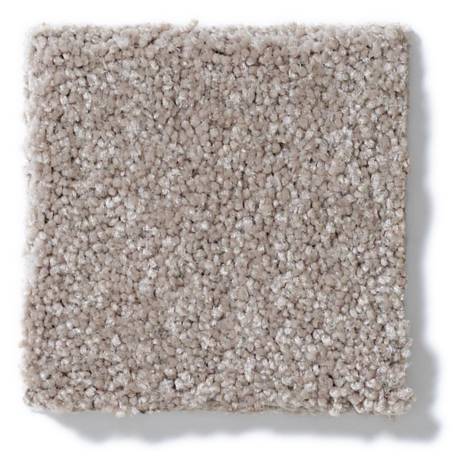 SWEET LIFE ASHEN SWATCH