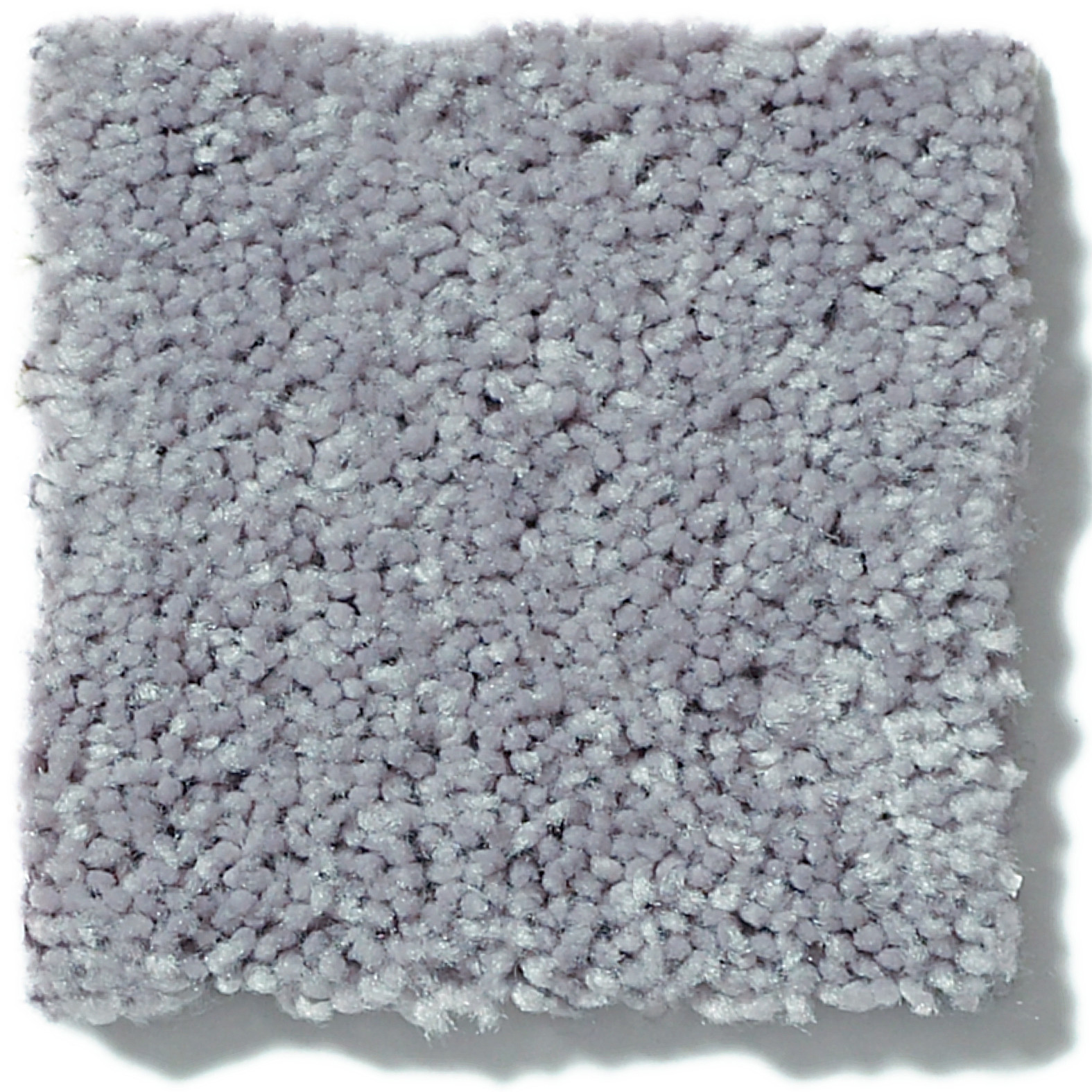 DREXEL HILL II 12' DOLPHIN SWATCH