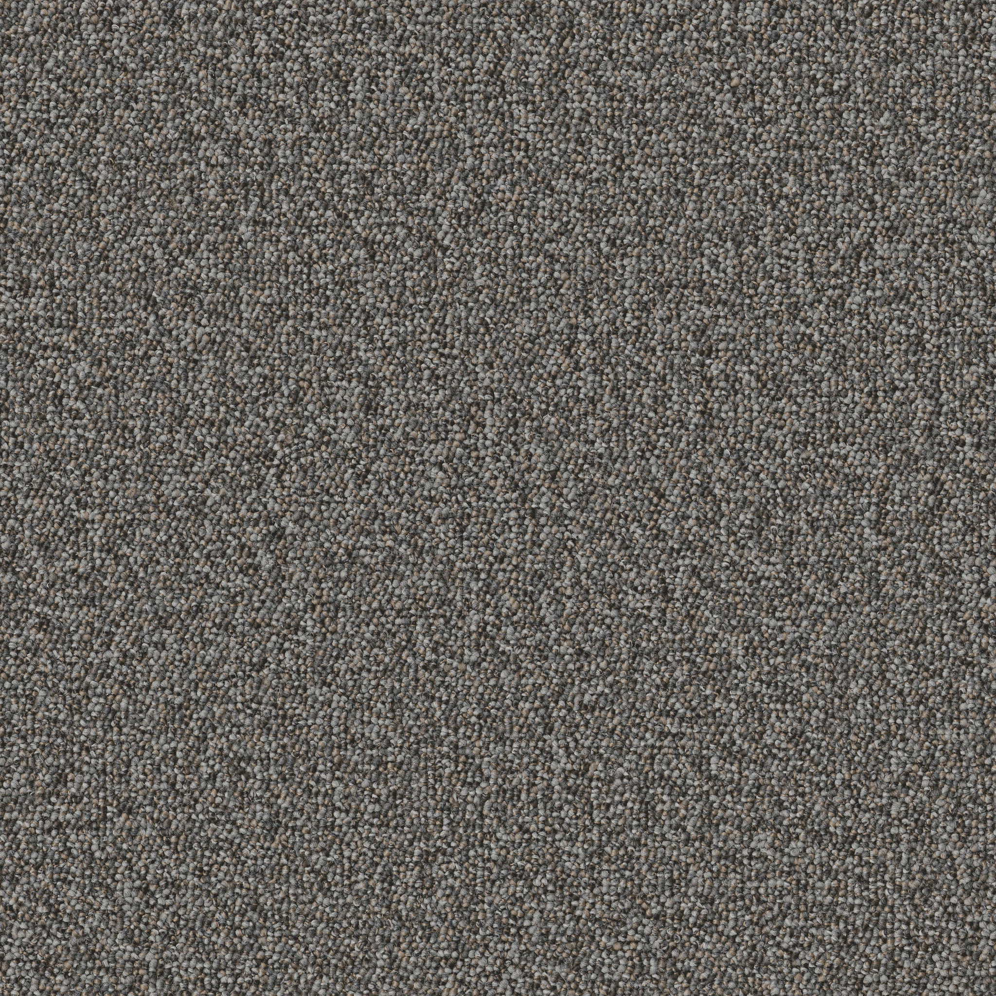 AVENUE-54989-MONROE-00506-main-image