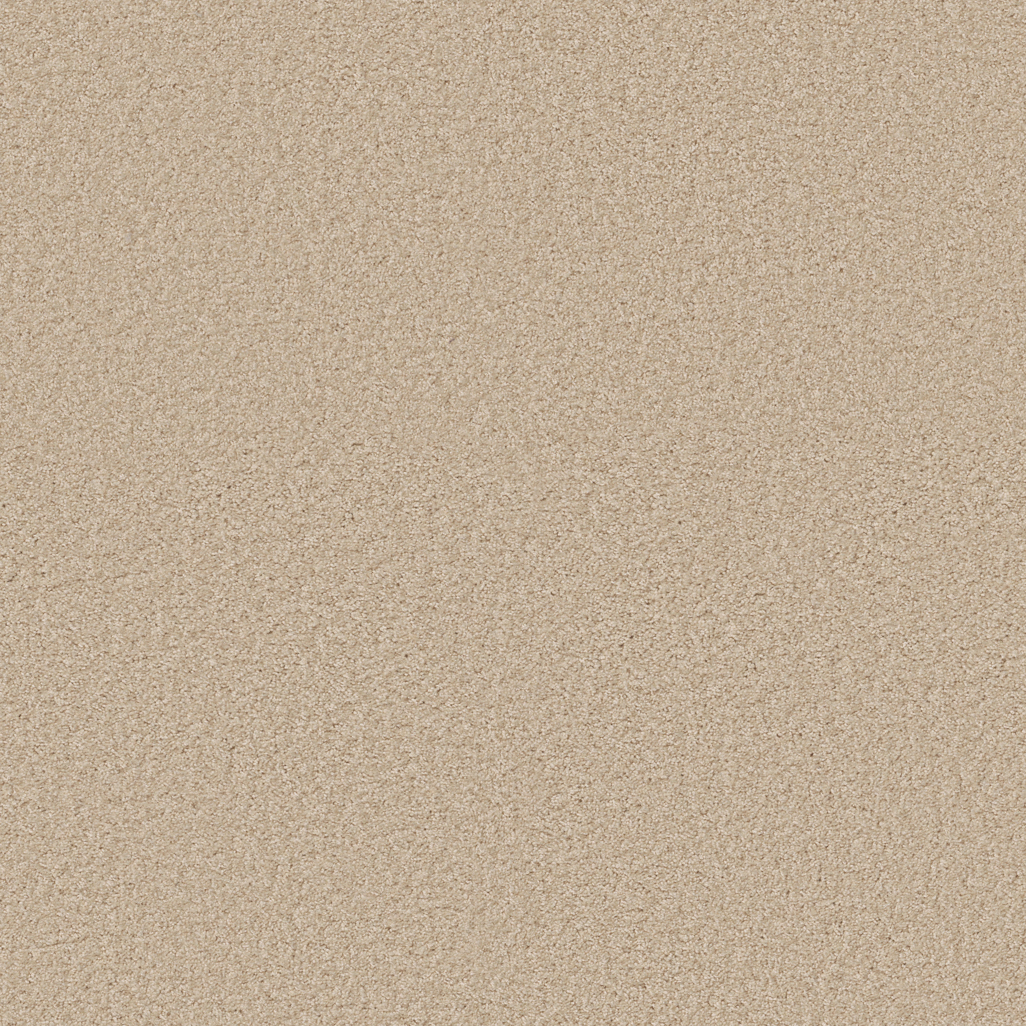 VITALIZE (S) 12' FRESCO MAIN