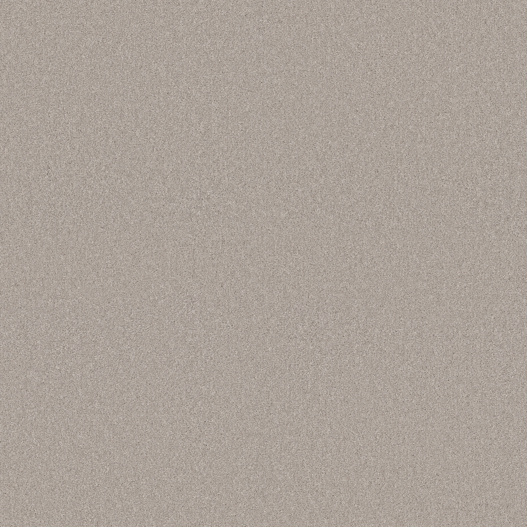 AG EXCEPTIONAL COLD TAN MAIN