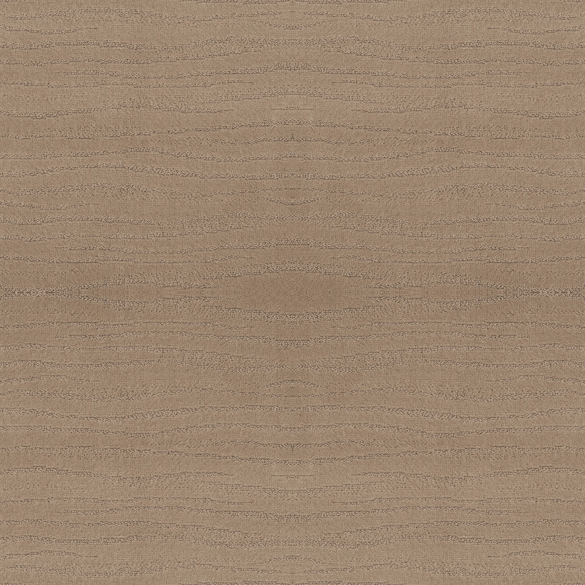 CAPISTRANO BEACH GRASS MAIN