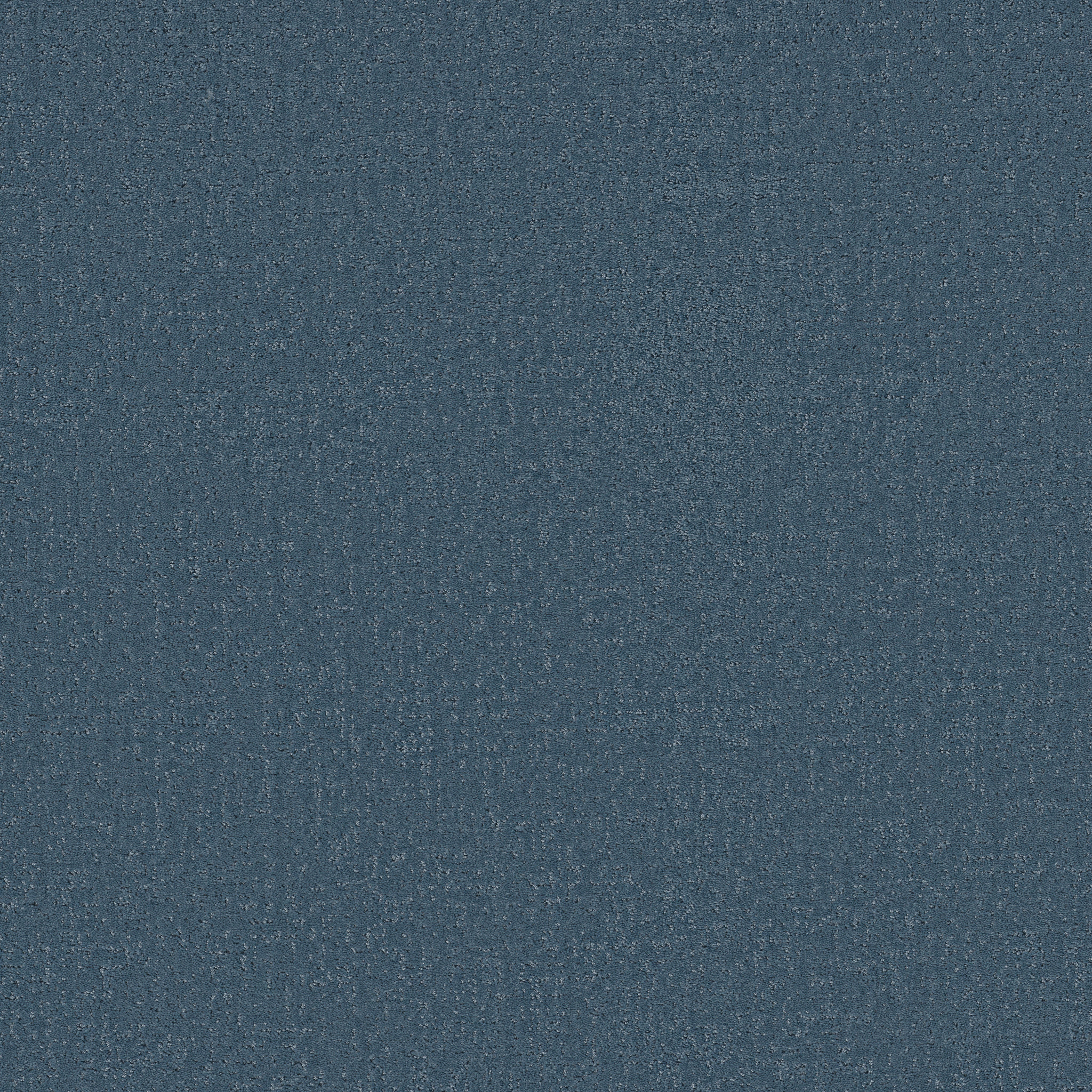 CANVAS COMFORT BLUE SURF LESSONS MAIN