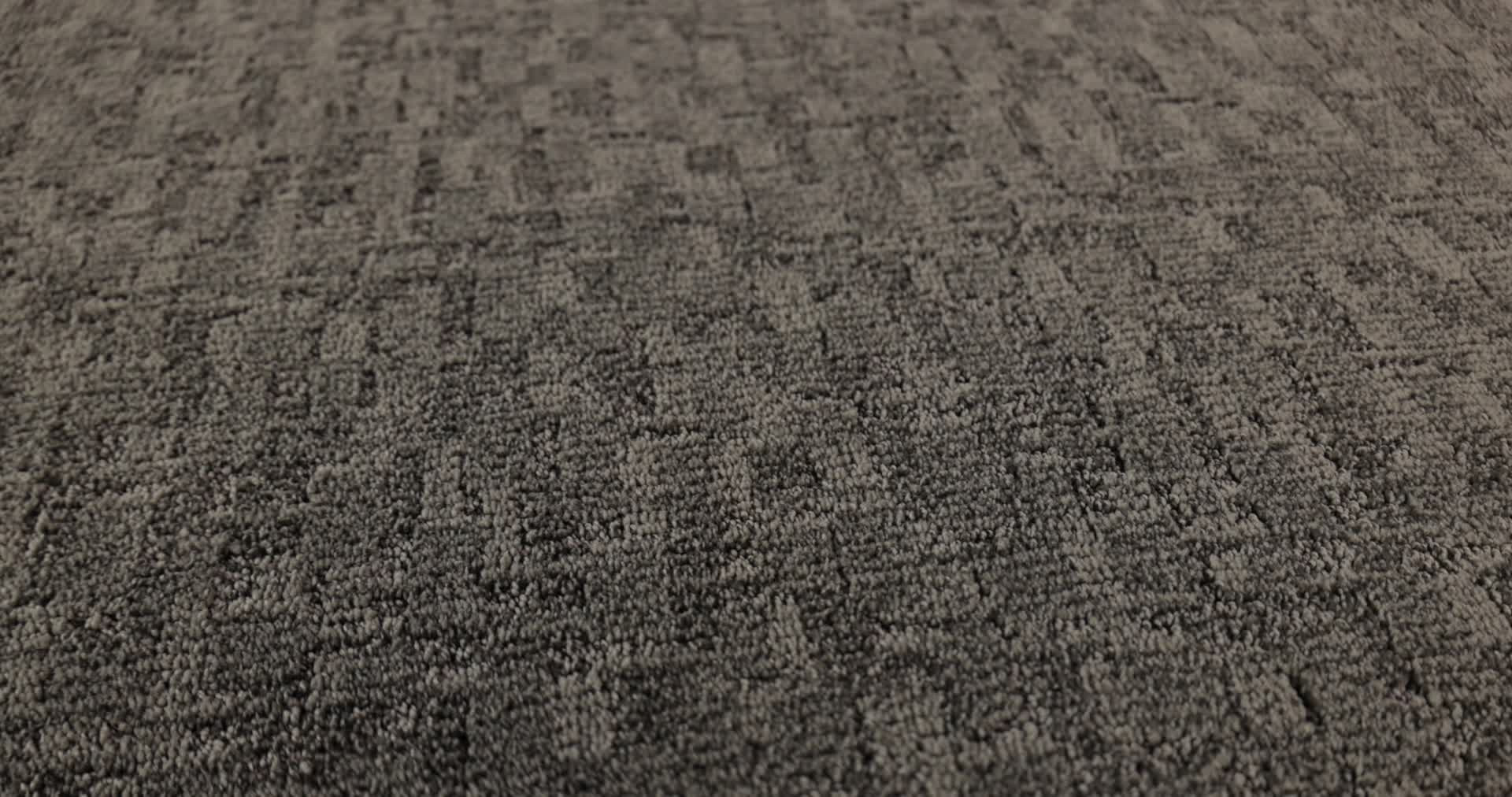 PAW-TAY KENDALL 360PROD