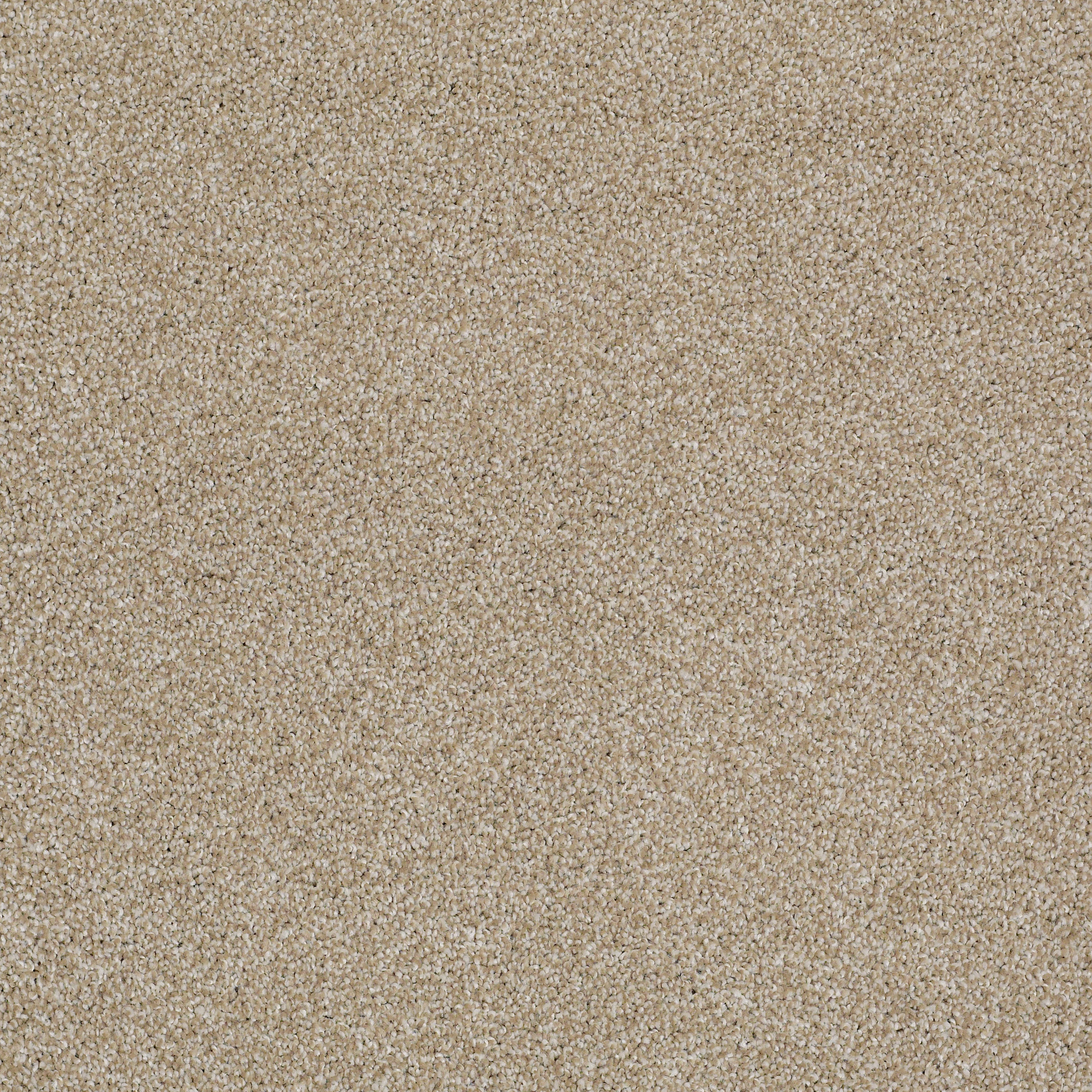 ALWAYS READY II BISCOTTI MAIN