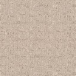 Anderson Tuftex Carpet