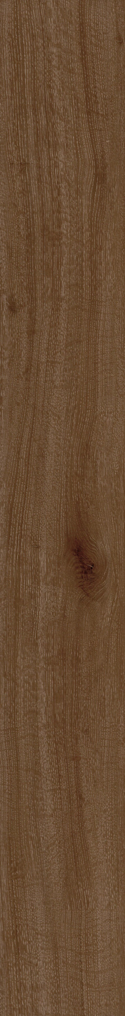 CRIMSON FLAME OAK 1TO1