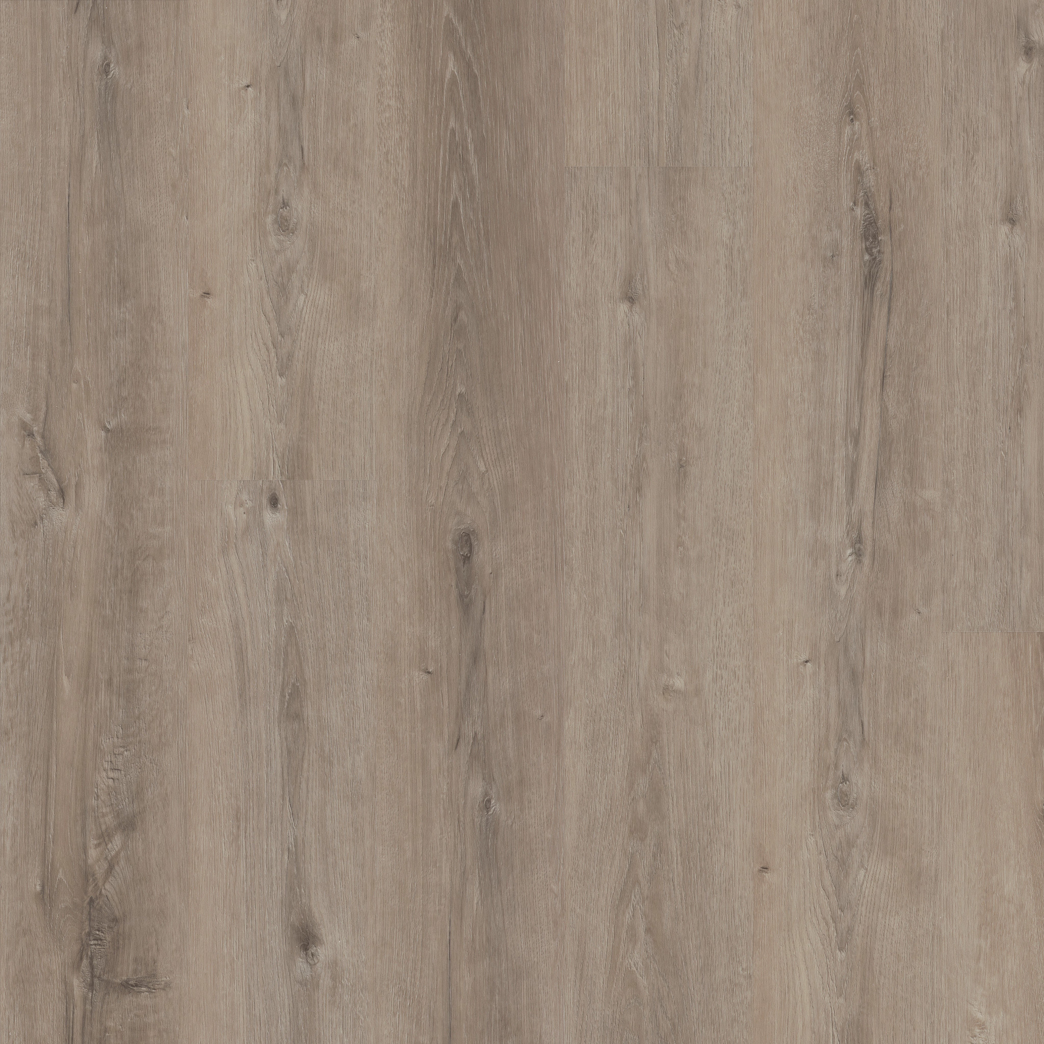 MALTESE QUARRY OAK MAIN