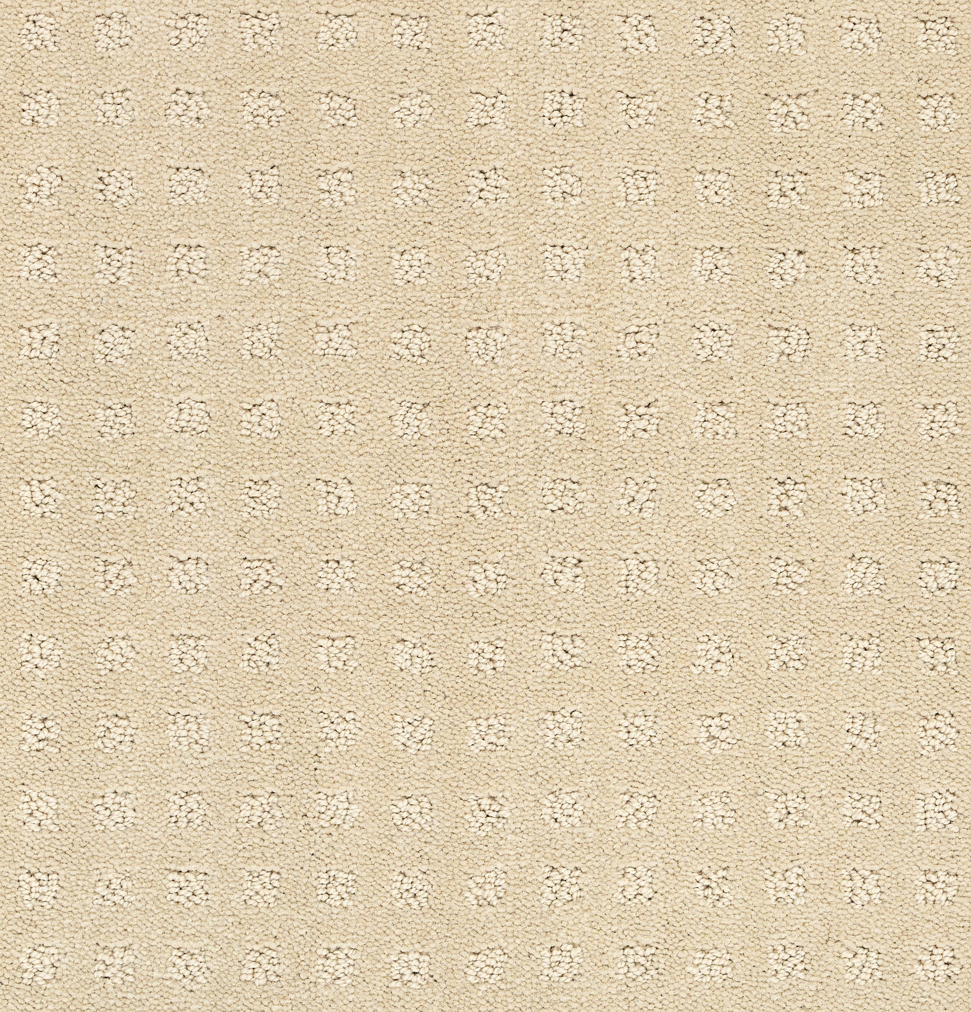 NOTTINGHAM SOFT SUN MAIN