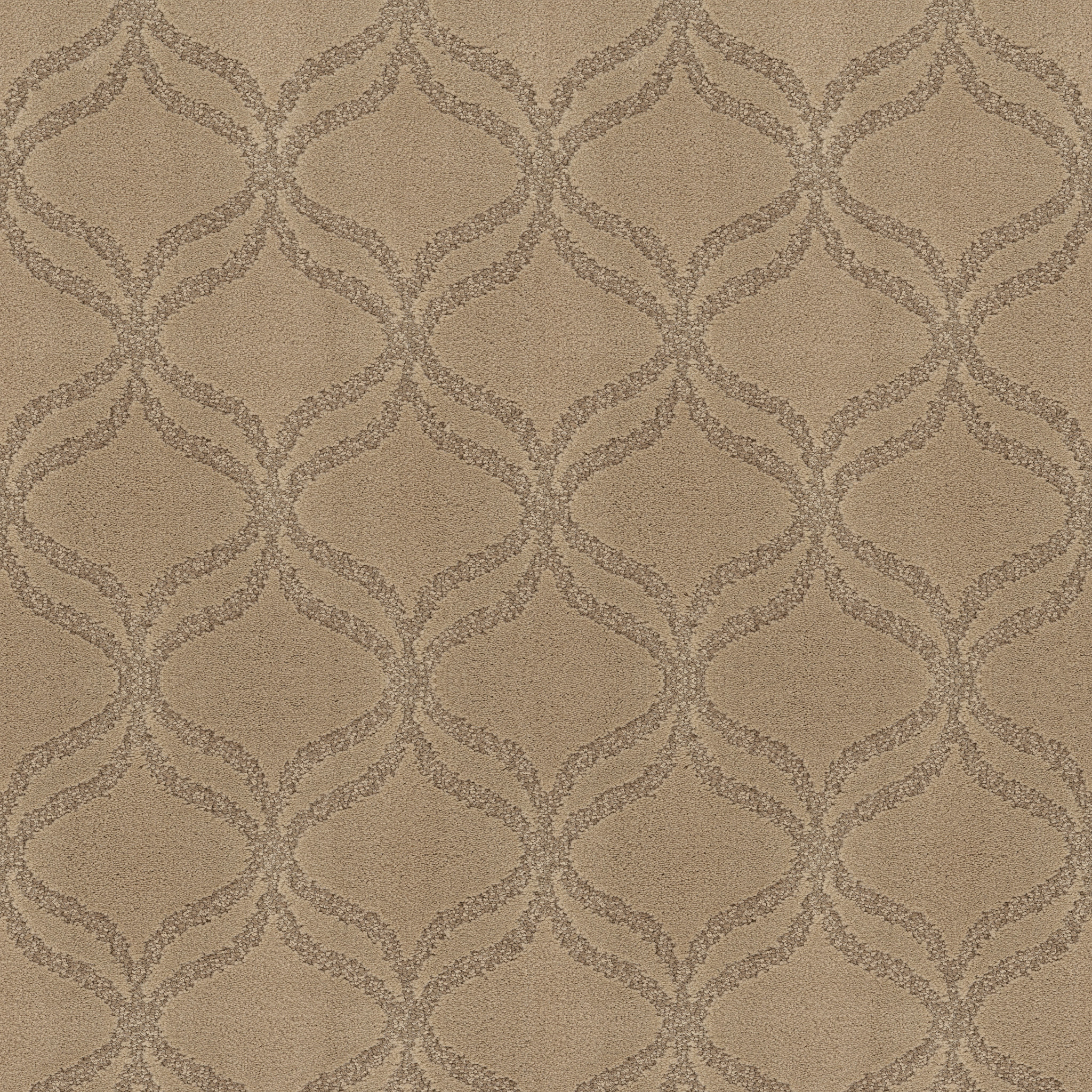 APPRECIATION RIDGEWAY WALK MAIN