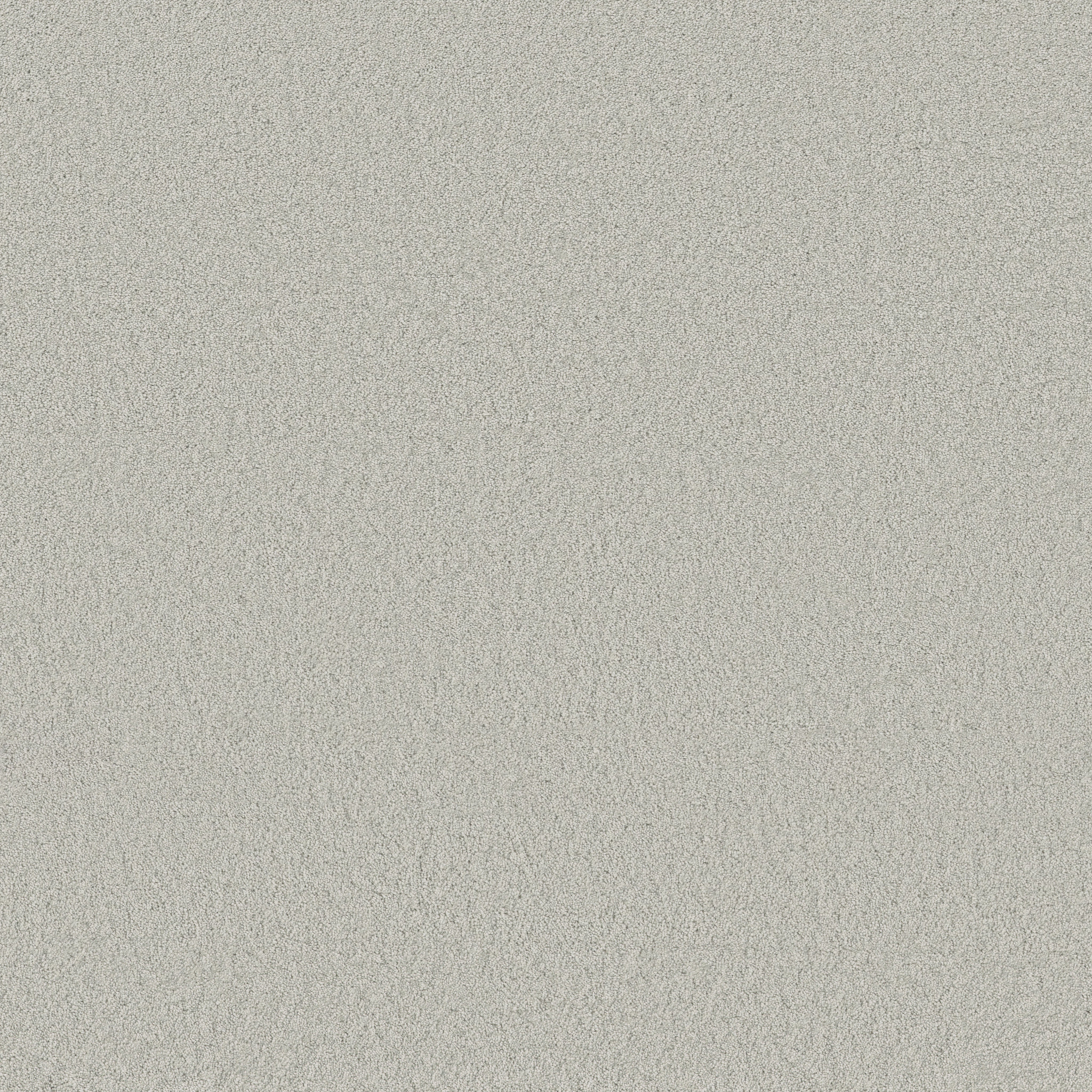 ENCHANTING ICY MORN MAIN