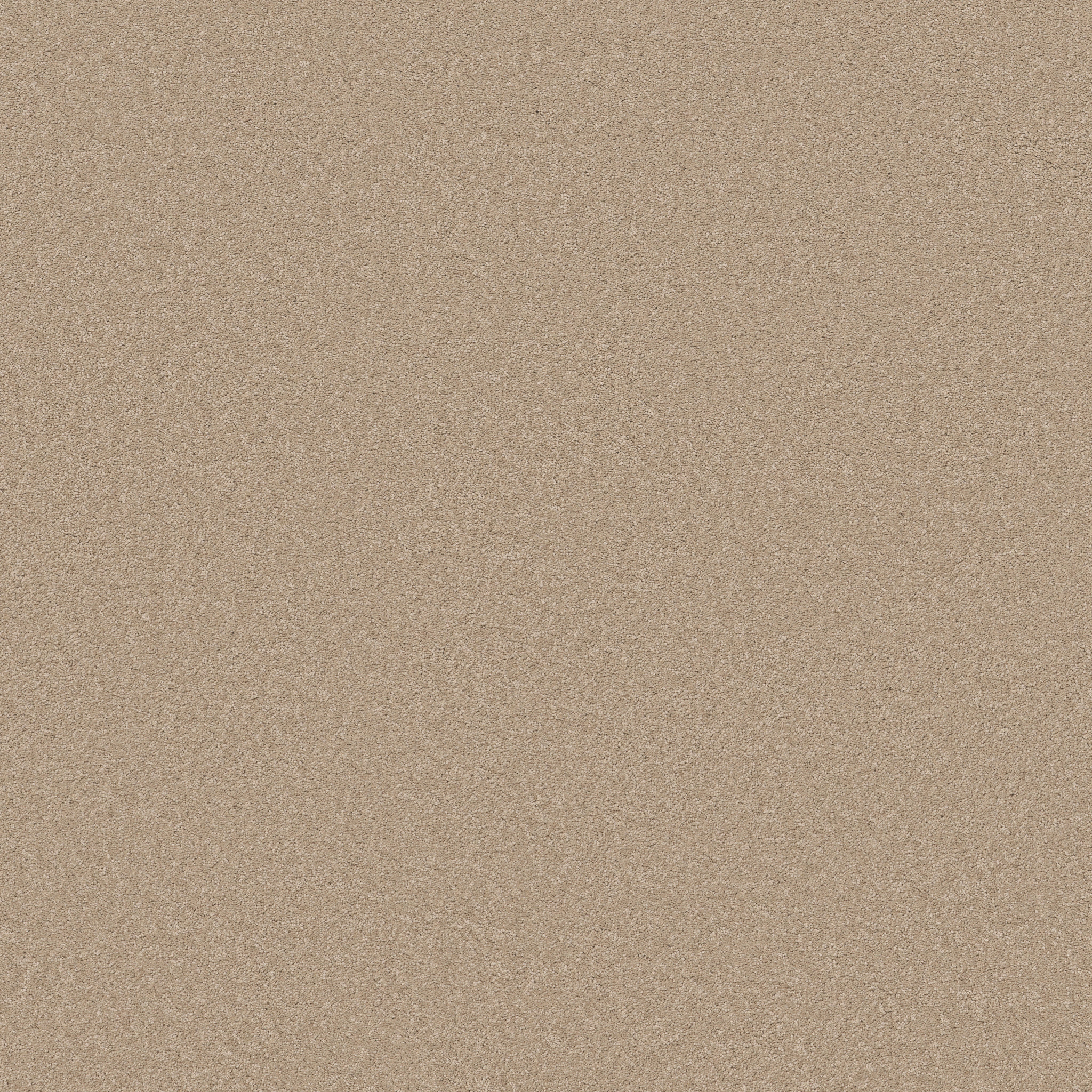 ELEGANT BEAUTY TRANSPARENT MAIN