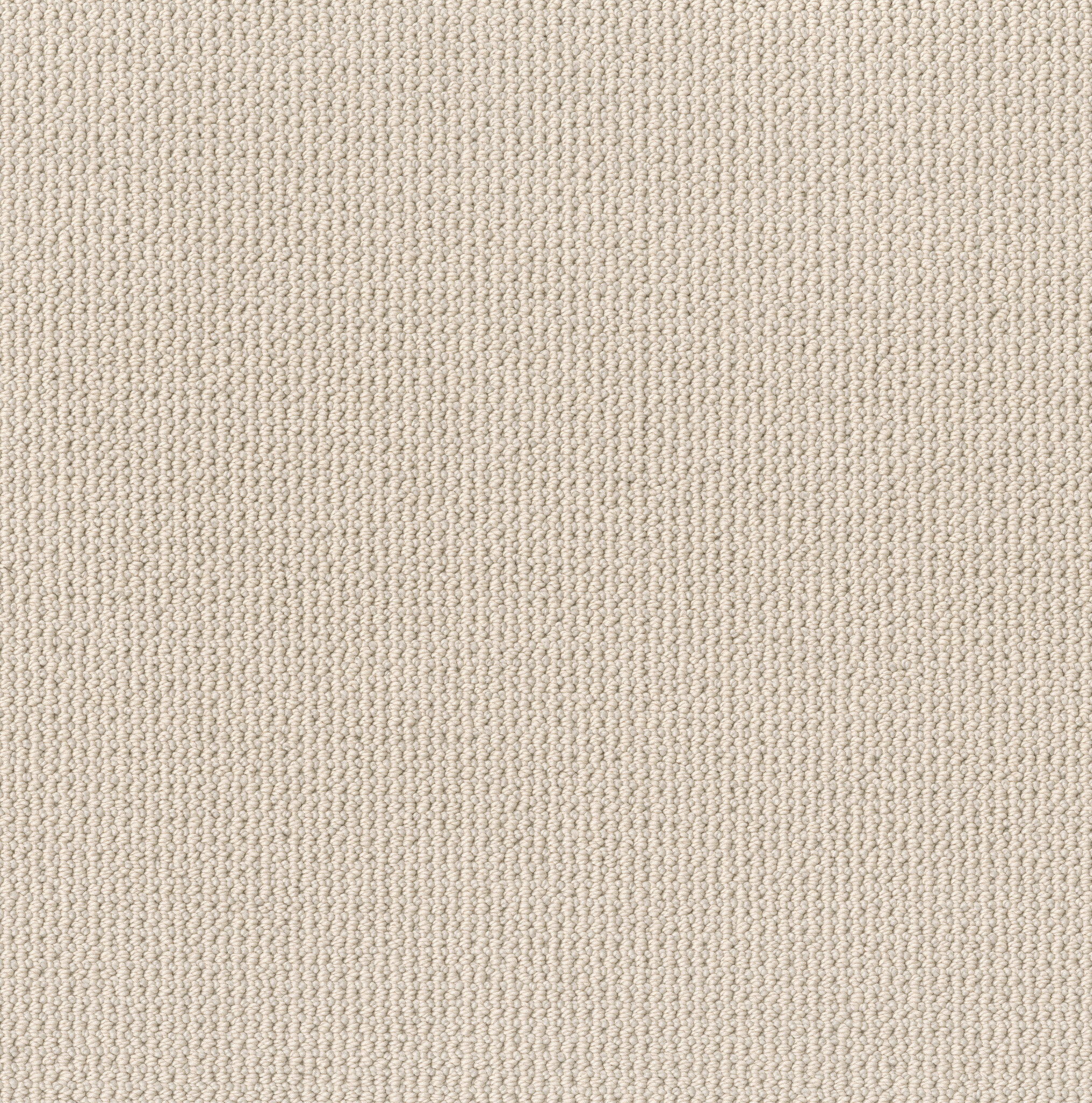 PURRFECTION WHITE SAND MAIN