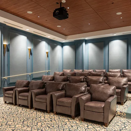 Premium carpet flooring for elegant home theaters Luxurious carpet flooring in a modern home theater