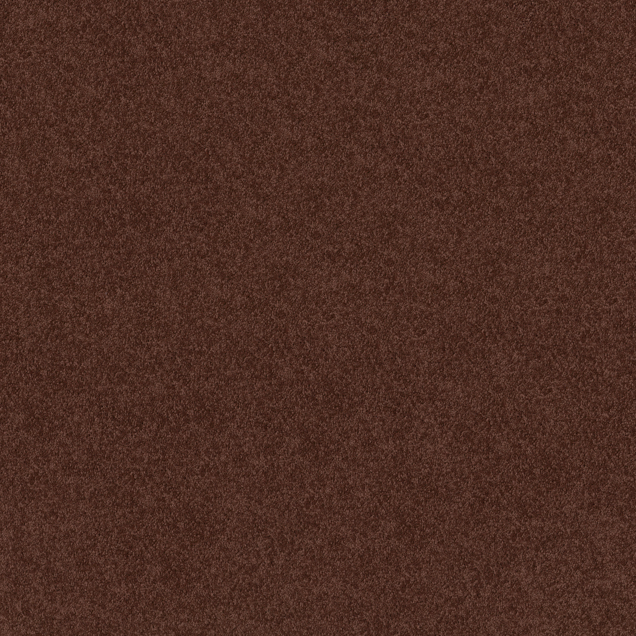 DYERSBURG CLASSIC 12' COFFEE MAIN