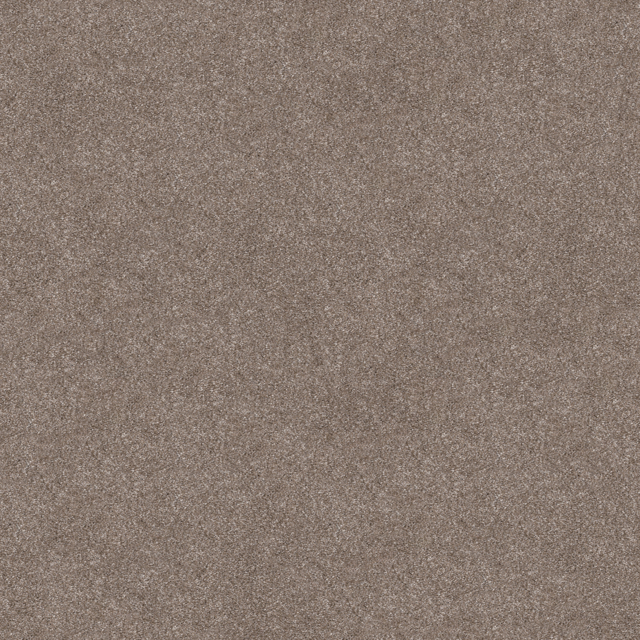 TRUSOLUTIONS III TAUPE DREAM MAIN