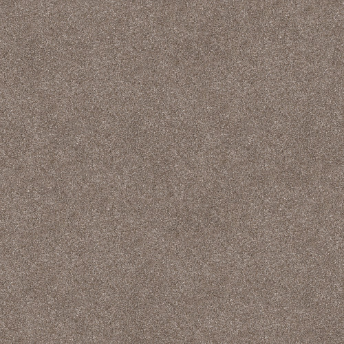 Taupe Dream 00705