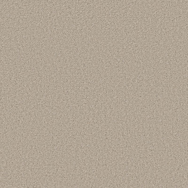 Trusolutions II 5E648 Broadloom Carpet in Concrete color, 12ft width, made of 100% PET fiber