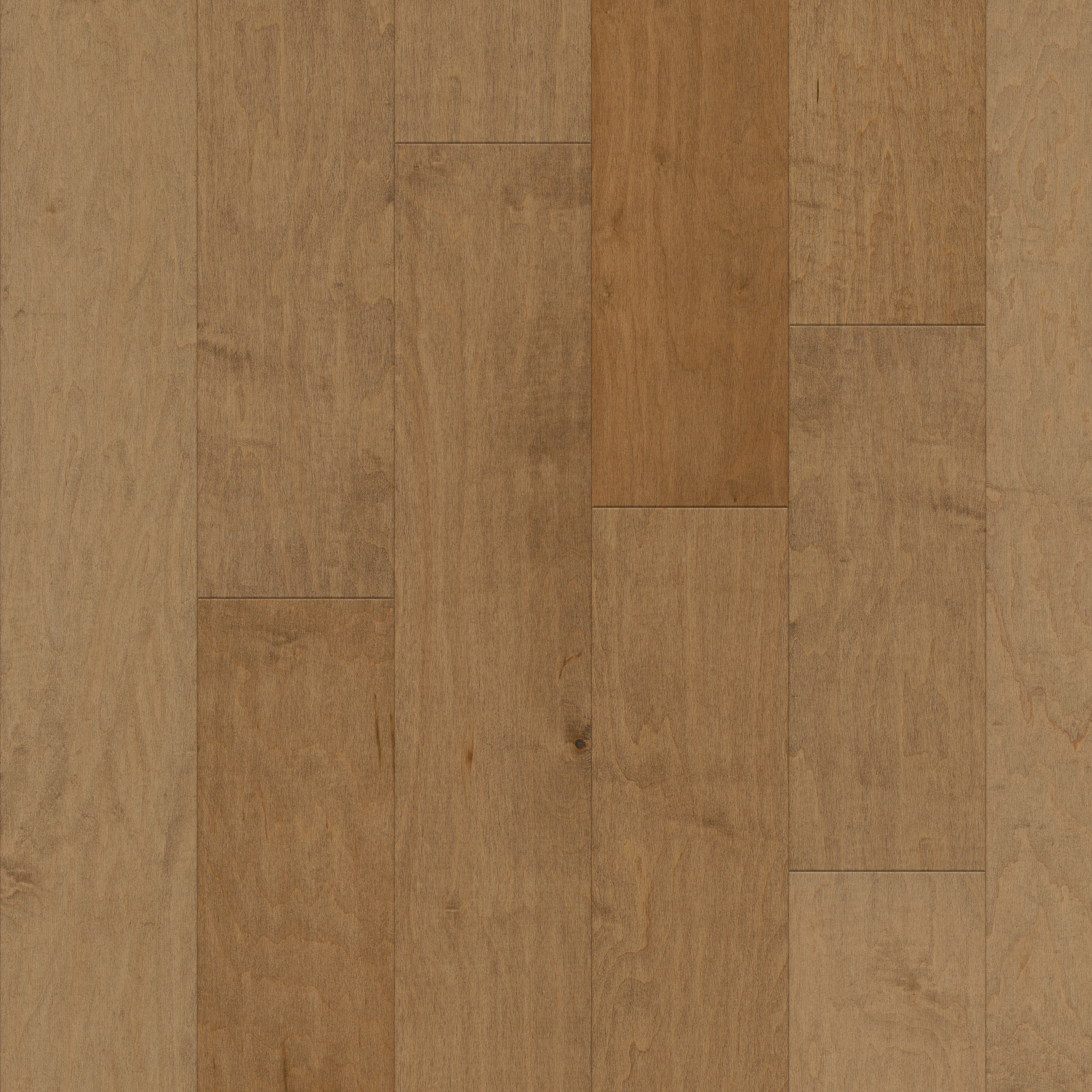 MENDOCINO GOLD DUST MAIN