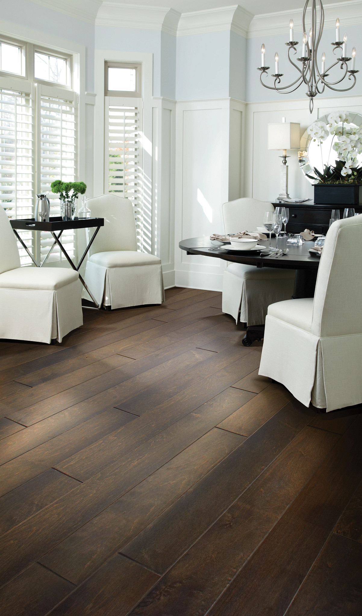 ELLISON MAPLE MAJESTIC PRINCE StaticImage01