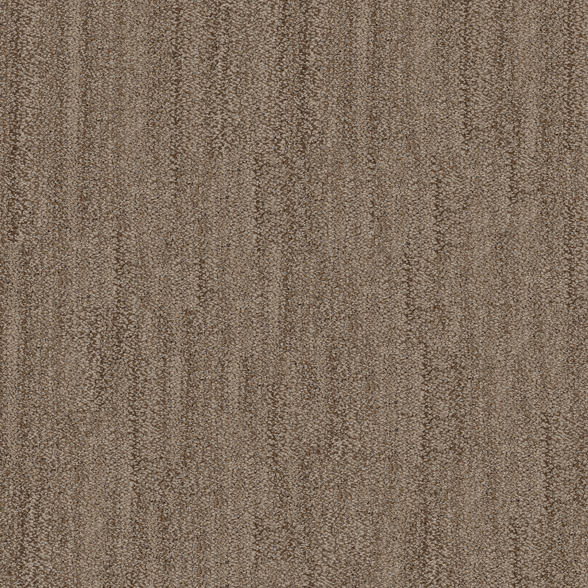 IN TEMPO SADDLE MAIN