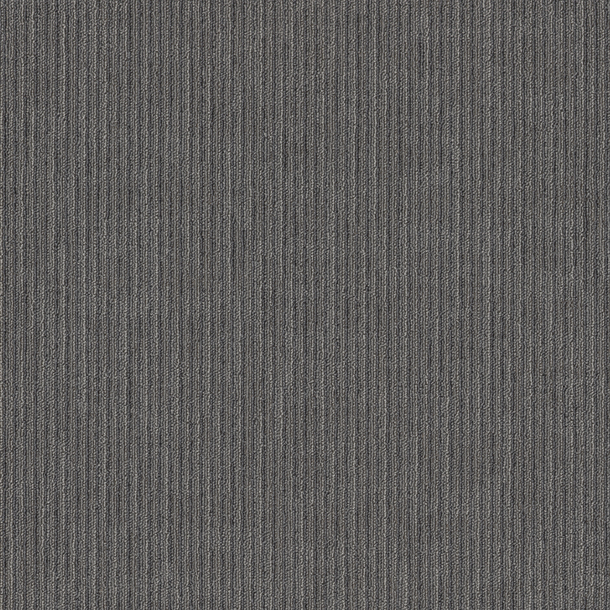 GENIUS-54844-WISDOM-44500-main-image