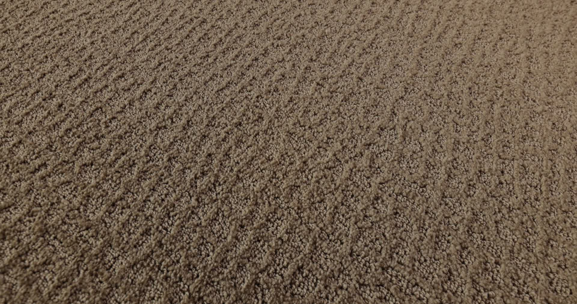 CHIC SHADES RAW WOOD 360PROD