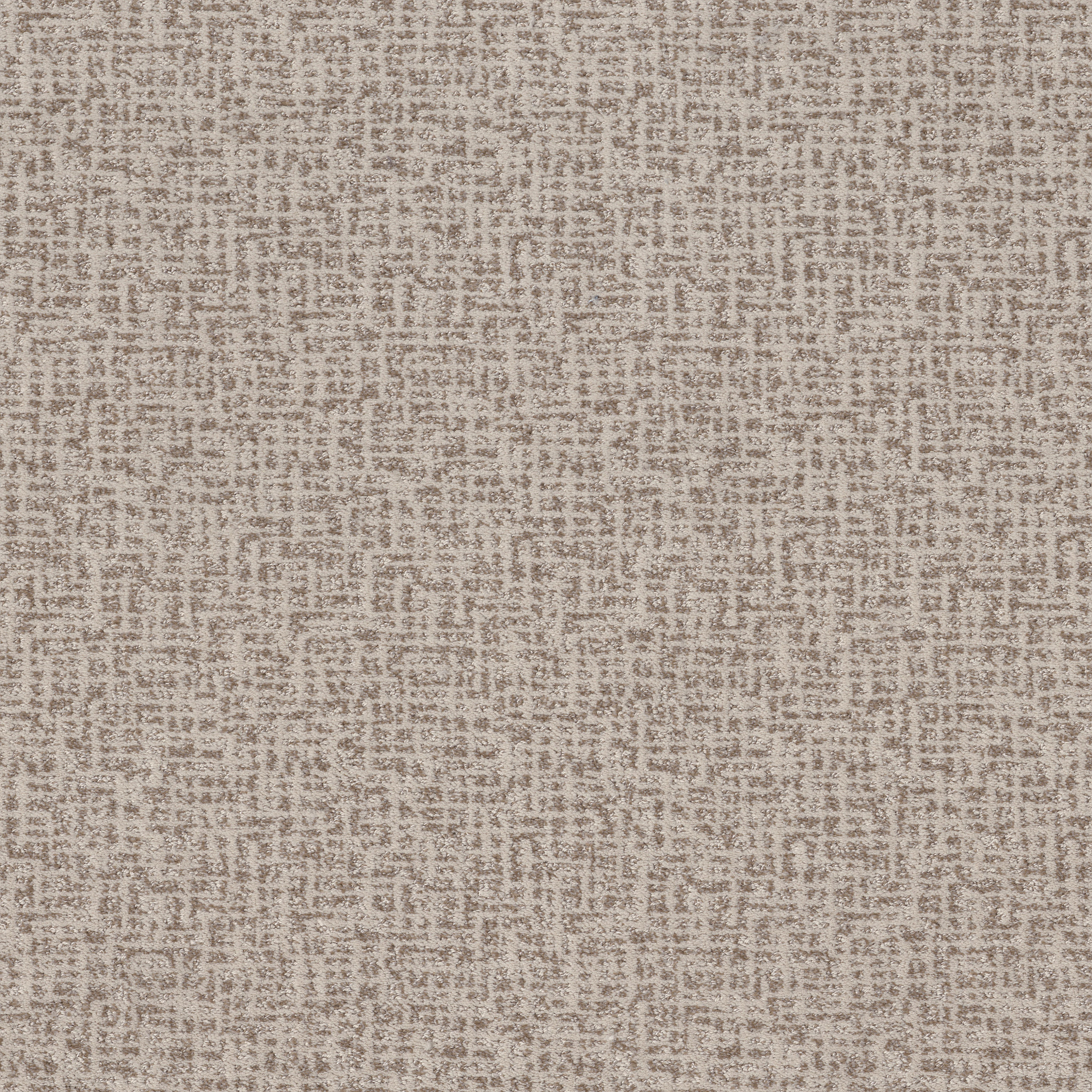 CABOODLE NOMADIC MAIN