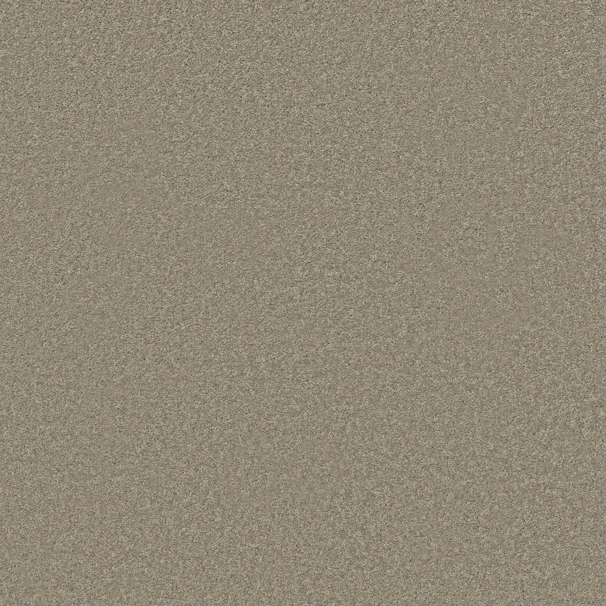 LAGUNA BEACH RADIANCE MAIN