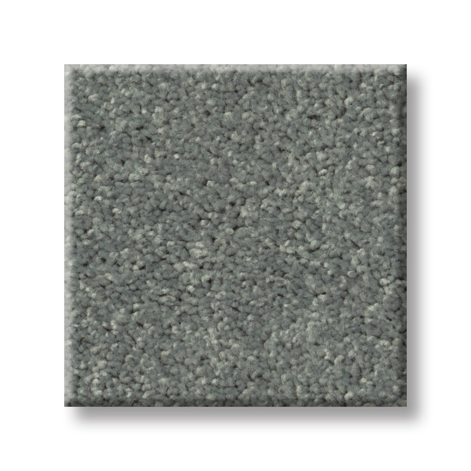 HOLLYWOOD REGENCY II BAHAMA BAY SWATCH