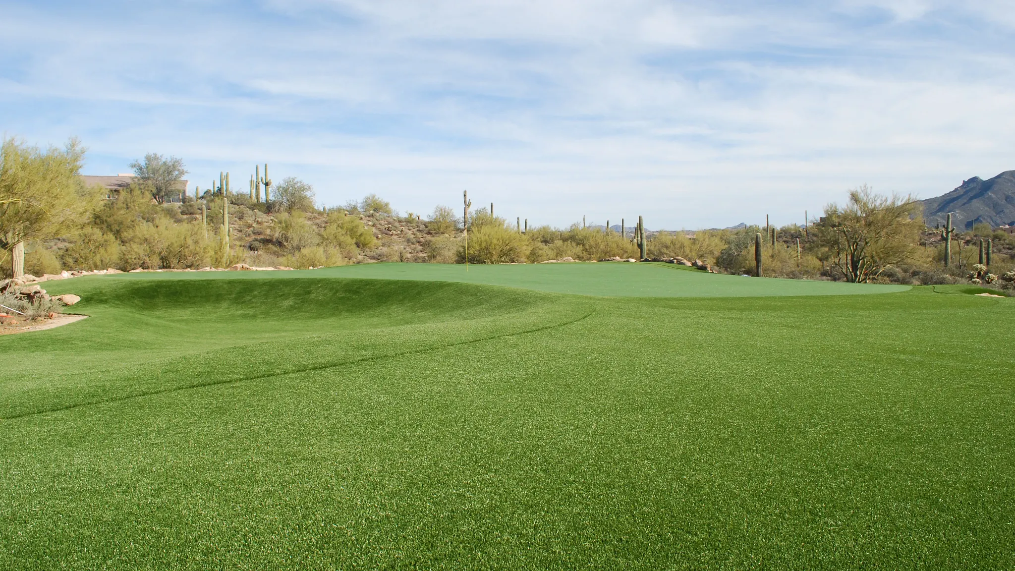TIPS NY Pro Stroke Golf Shawgrass