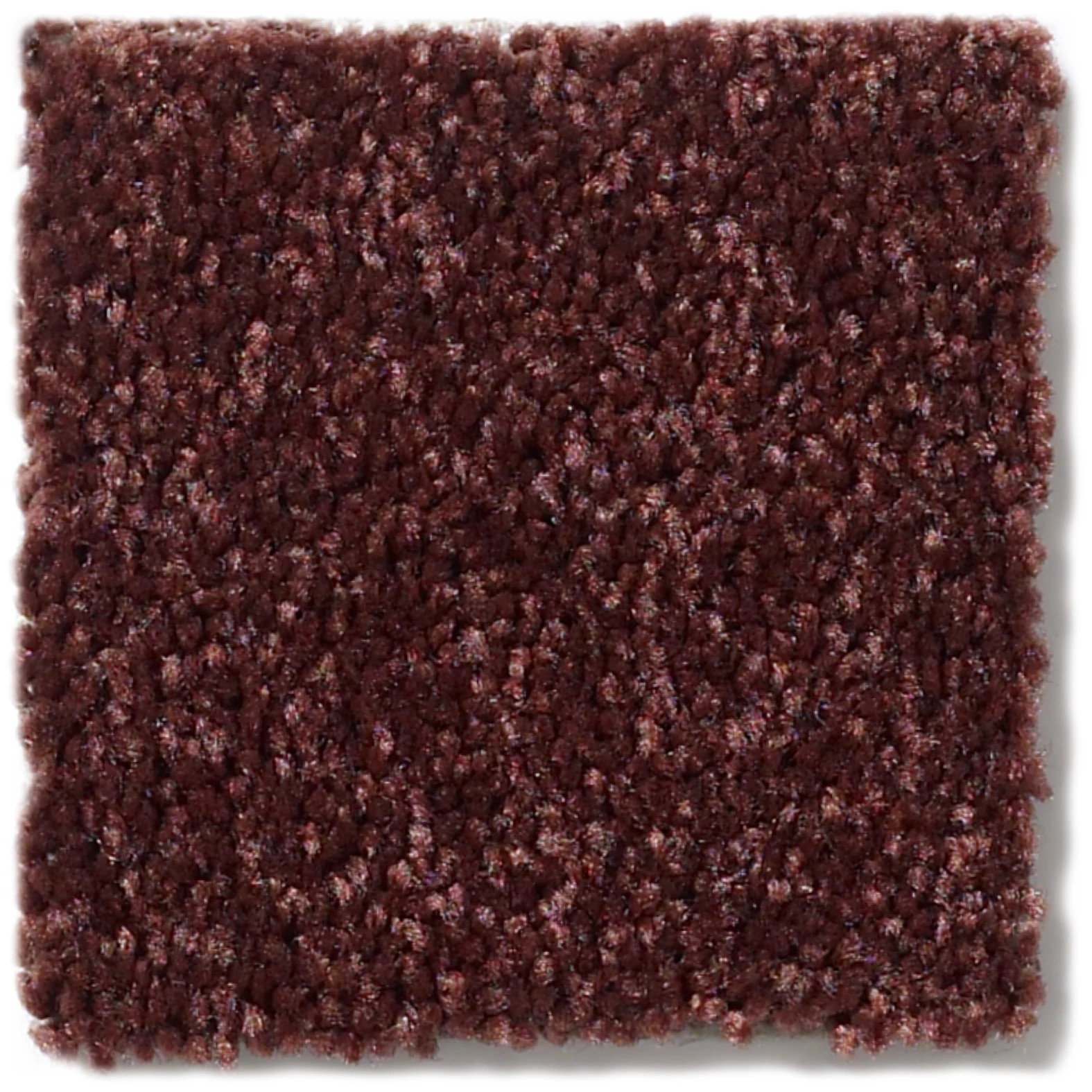 DYERSBURG CLASSIC 12' COFFEE SWATCH