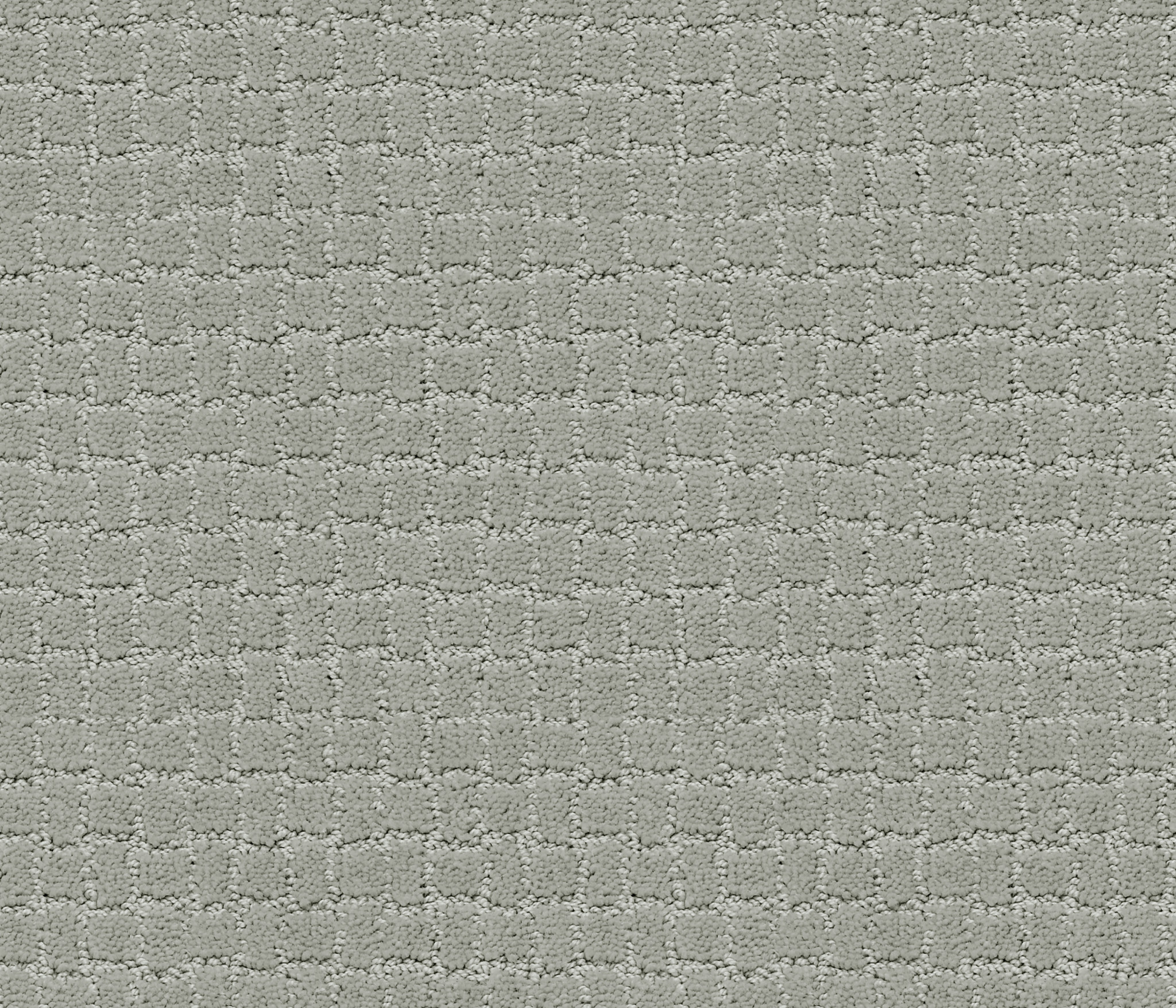 PAWSTRUCK MISTY LAKE MAIN