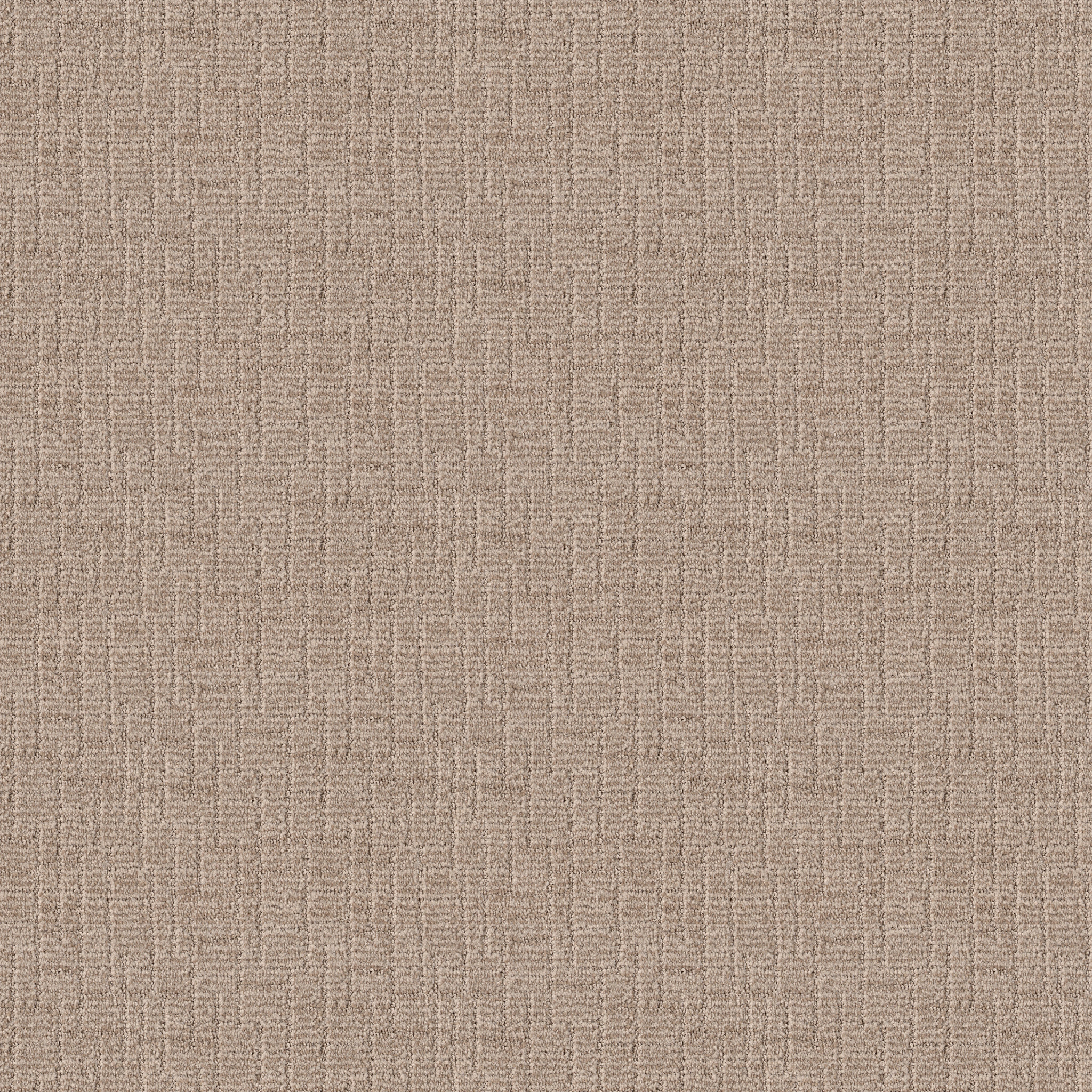 WAYFARER PEANUT SHELL MAIN