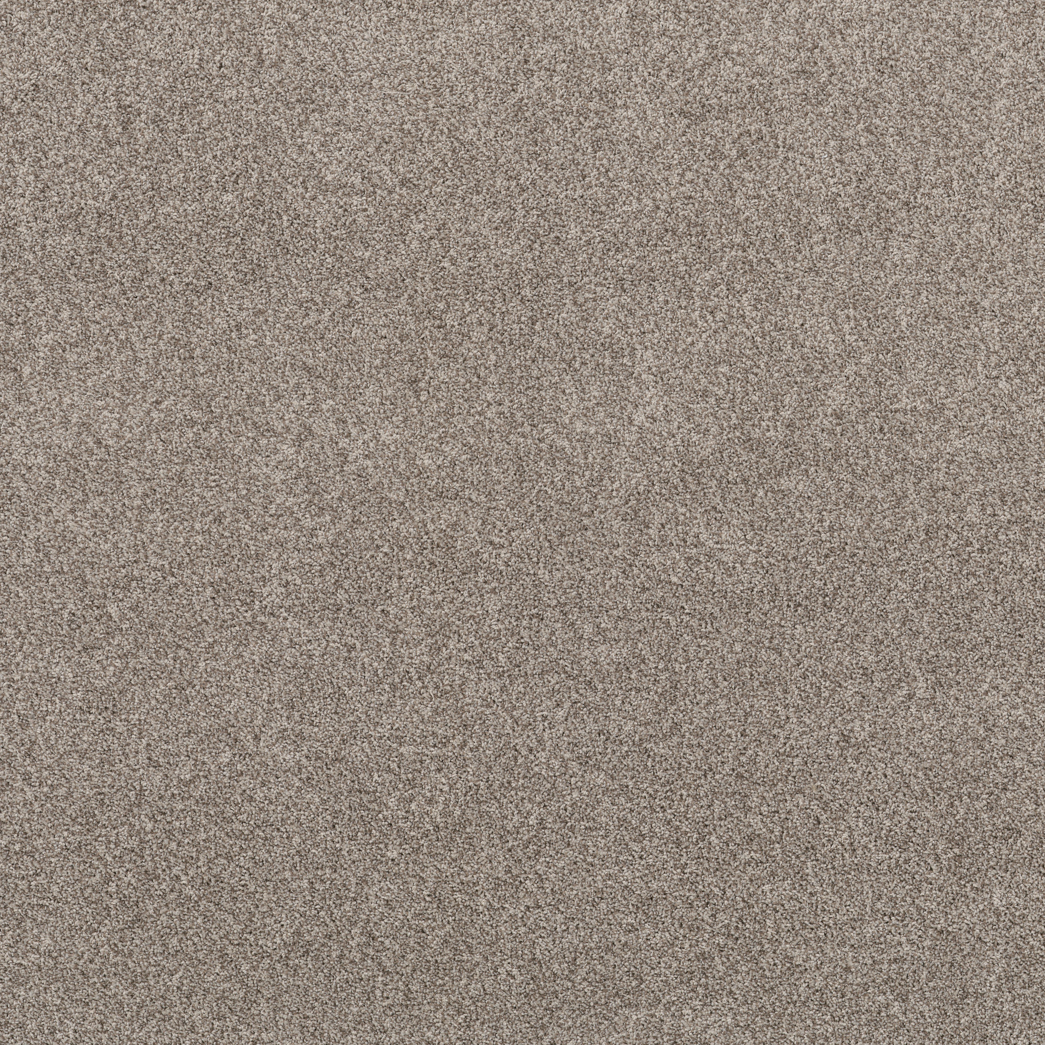 VIA NOVA PASHMINA MAIN