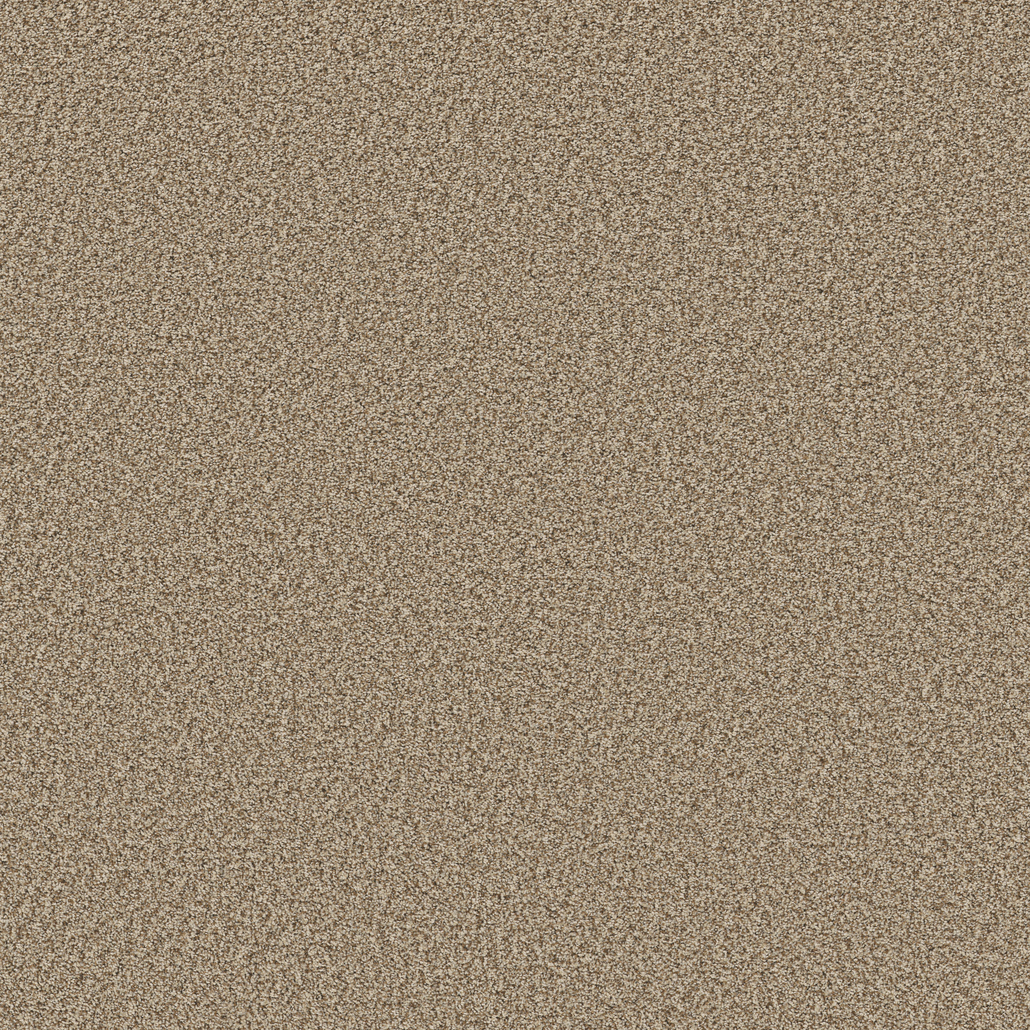 PRESCOTT VALLEY NUTSHELL MAIN