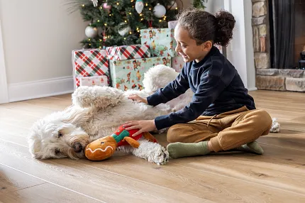 Wood Look LVP Flooring in a Festive Living Room Scene Cozy holiday scene with a child and dog on wood look luxury vinyl plank flooring