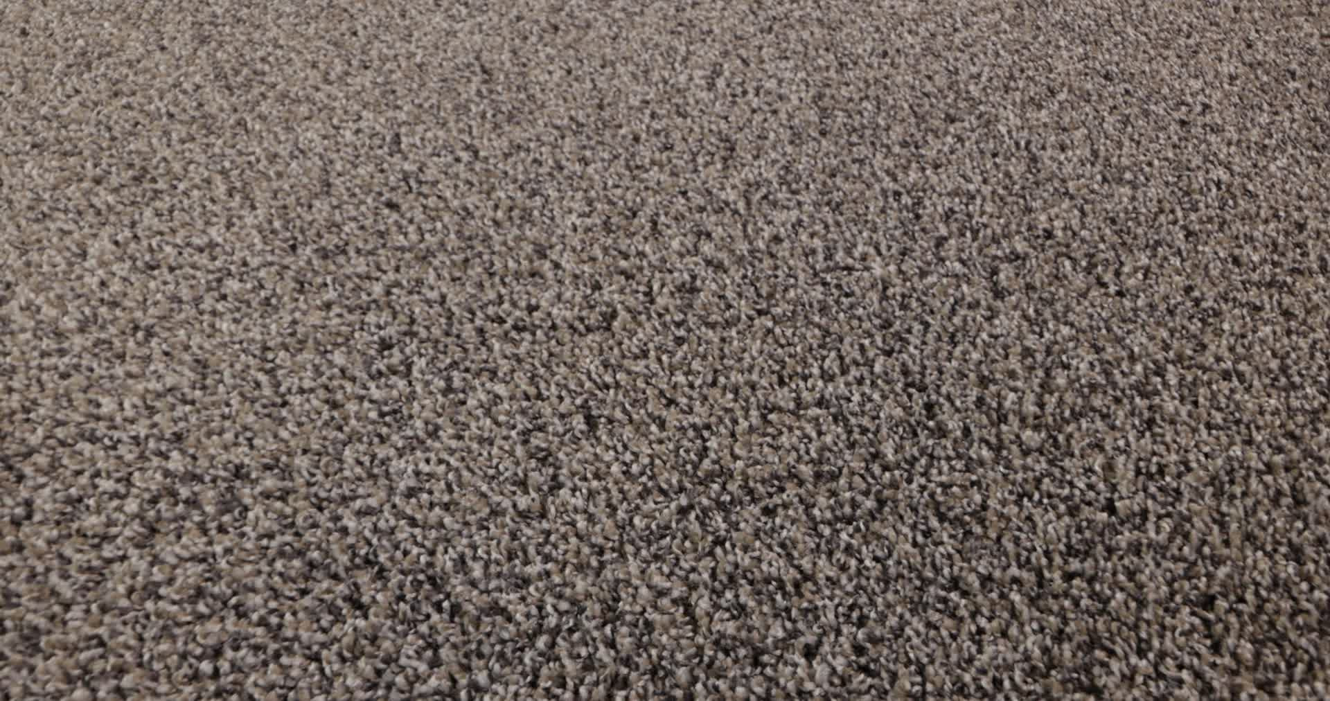 SHAKE IT UP (A) BURNT ASH 360PROD