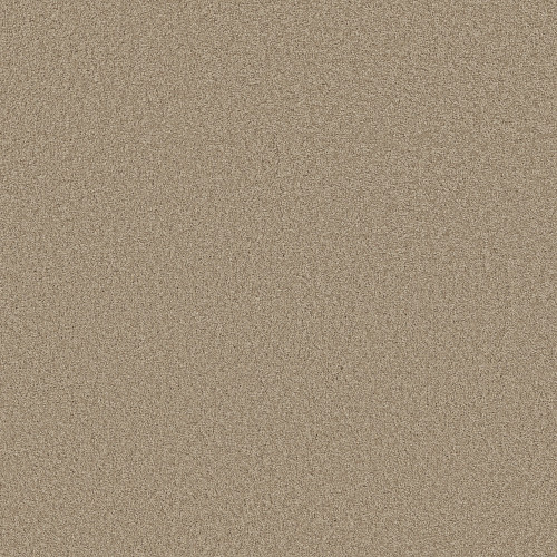Clay Stone 00108