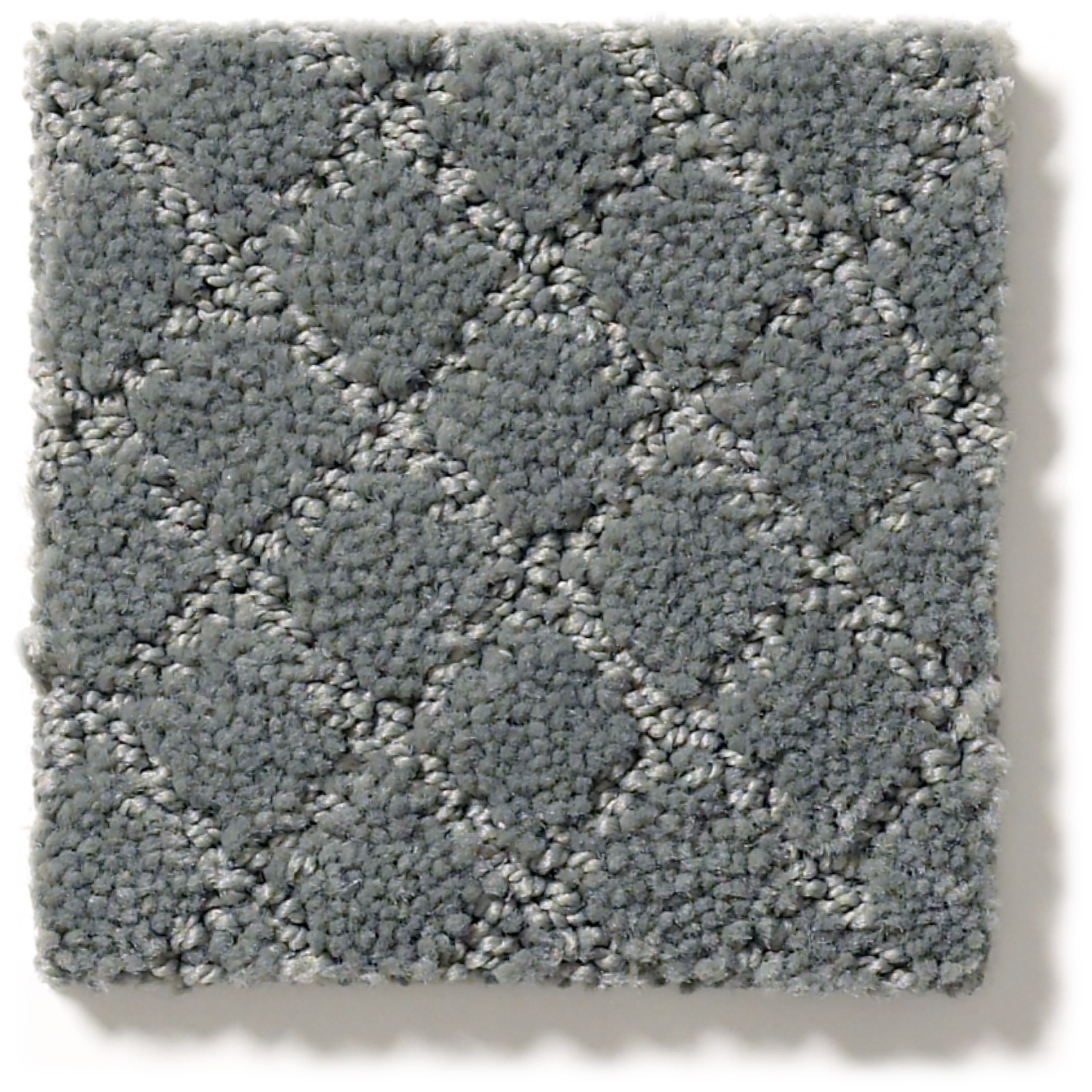 PAWNACHE STEEL WOOL SWATCH