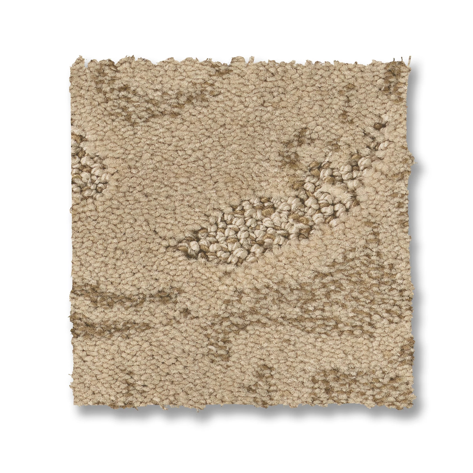 CHARISMATIC BEACH GRASS SWATCH